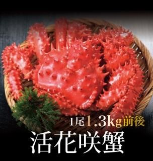 とりさん専用ページ　カニトップ3個 カニトップ JHS ジャパンヘルスサミット - メルカリ