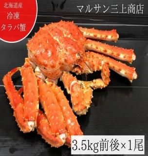 タラバガニ姿 3.5キロ ボイル冷凍 （北海道産タラバガニ姿 1尾