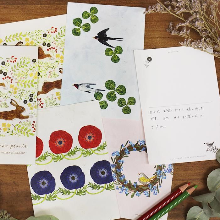 浅野みどり はがき箋 dear plants