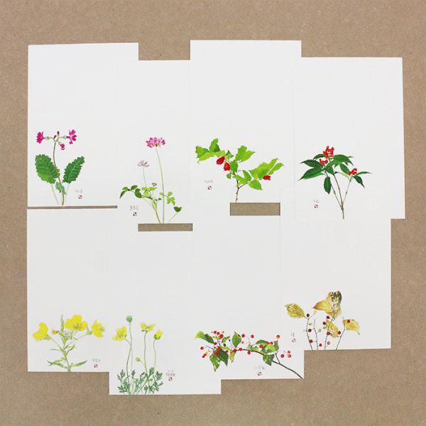 ☆はがき集 外山康雄《折々の花たち-四季-》 - 表現社 cozyca products