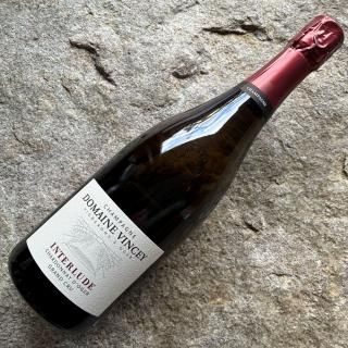 ɥ᡼̡󥷡ƥ塼ɡ2021