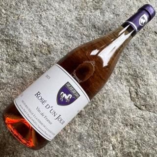 󥽥˥롡󡦥塼2023