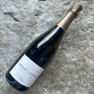 ֥Υ饤ȥ졼̡2019