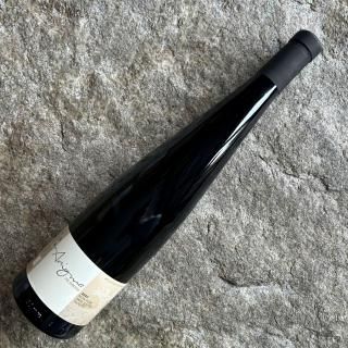 ɥ쥤䡼ԥΡΥȥ˥ޡ2023
