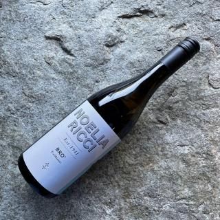 ΥꥢåȥåӥΡޡ˥ȥ֥  2022