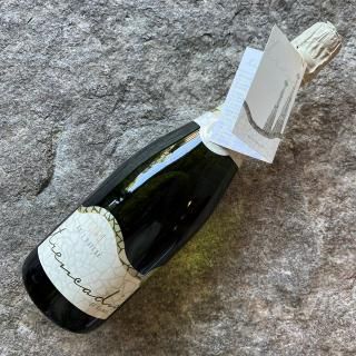 ⥦֥åȡʥȥȥ󥫥ǥNV
