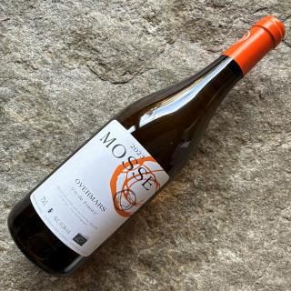 ɥ᡼̡⥹եޥ륹 2023