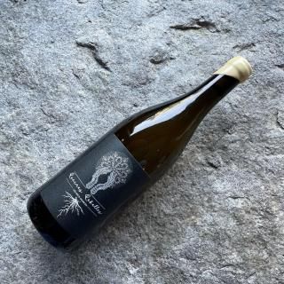 饷̡٥롡졦ɥ륹2023