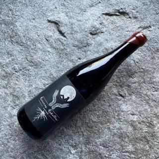 饷̡٥롡ʥƥå2023