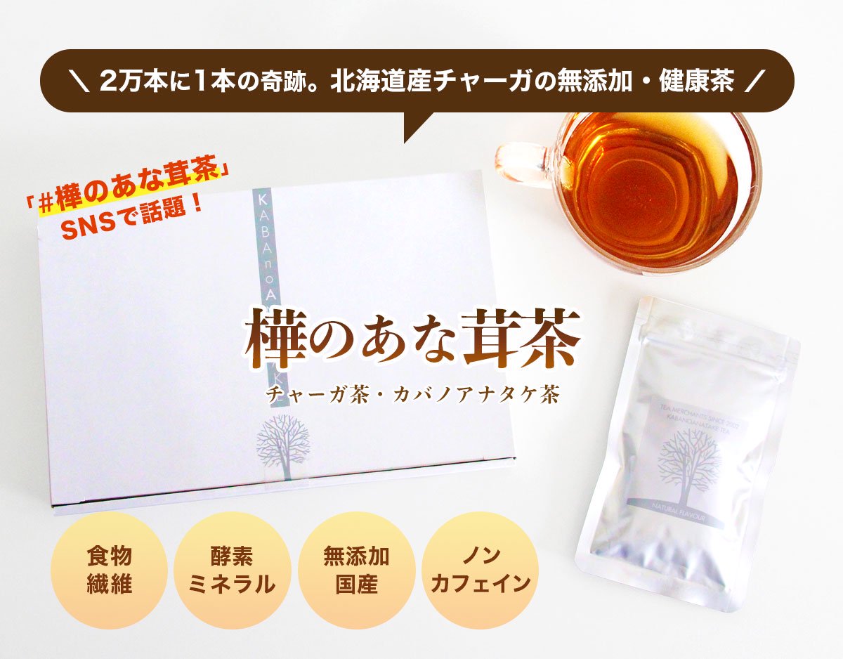 75％以上節約 カバノアナタケ茶 3ミリカット以下粉砕北海道産チャーガ