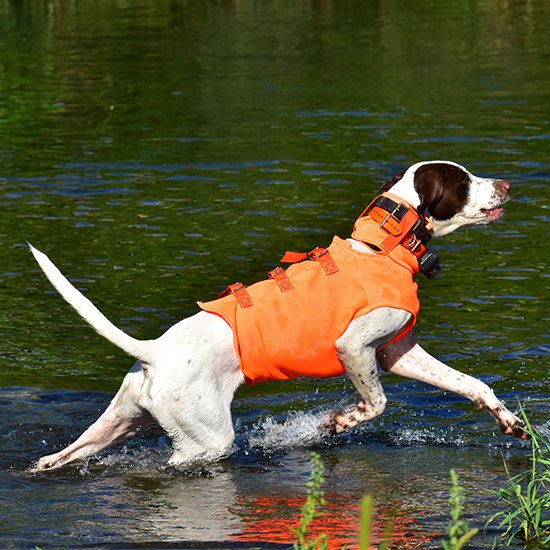 首回りを強化 狩猟犬 獣害対策犬 災害救助犬 警察犬など 視認性抜群 オレンジドッグベスト 愛犬の誤射防止や 目視での識別 捜索に役立ちます