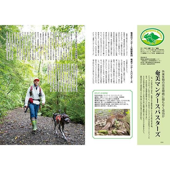 狩猟の世界　全猟　昭和50年代～　狩猟雑誌　93冊セット 古書 稀少年代物　猟犬 狩猟の世界全猟昭和50年代～狩猟雑誌93冊セット 古書 稀少年代物猟犬