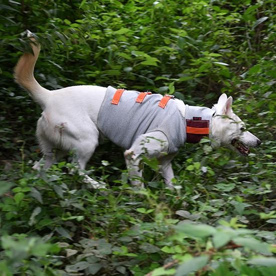 猟犬用耐切創ドッグベスト スペクトラベスト Spectra Vest 猟犬用耐切創ドッグベスト スペクトラベスト Spectra Vest