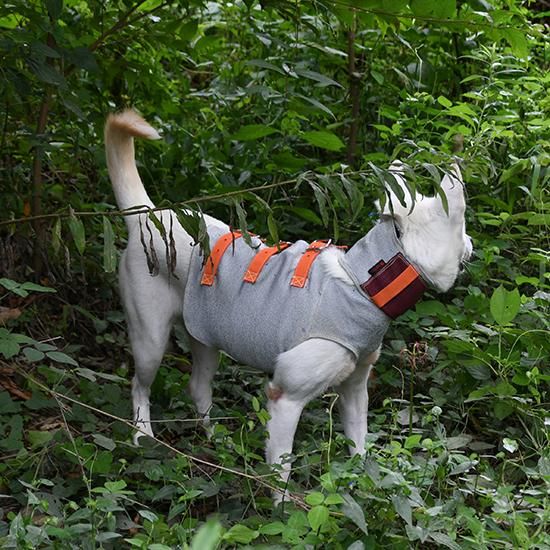猟犬用耐切創ドッグベスト スペクトラベスト Spectra Vest 猟犬用耐切創ドッグベスト スペクトラベスト Spectra Vest