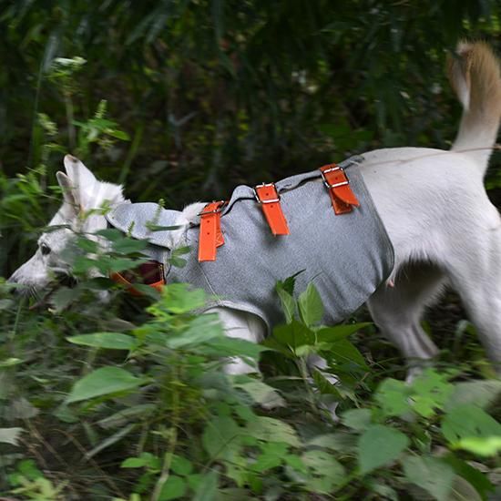 猟犬用耐切創ドッグベスト スペクトラベスト Spectra Vest 猟犬用耐切創ドッグベスト スペクトラベスト Spectra Vest