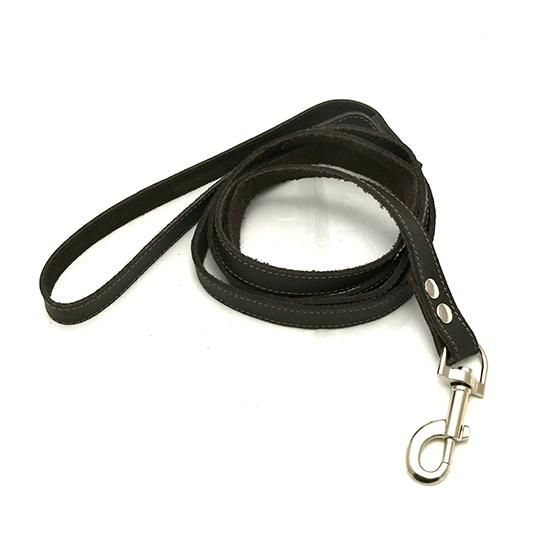 Acropolis Leather dog signal collar with a leash アクロ