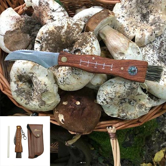 Acropolis Mushroom knife アクロポリス コンパス付きキノコ狩り用