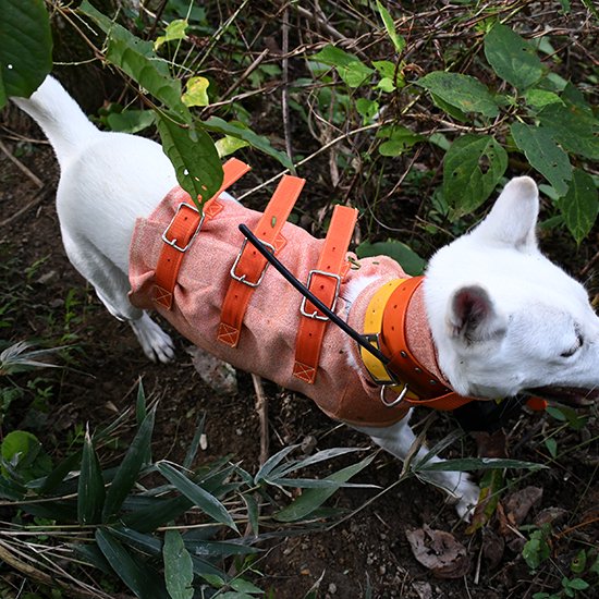 猟犬用　スペクトラベスト【通常版】防護服