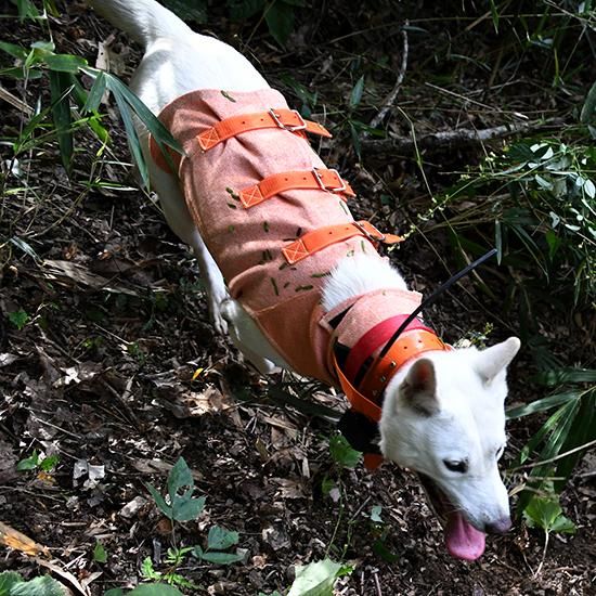 Spectra Vest Hunter Orange 猟犬用耐切創ドッグベスト Spectra Vest Hunter Orange 猟犬用耐切創ドッグベスト