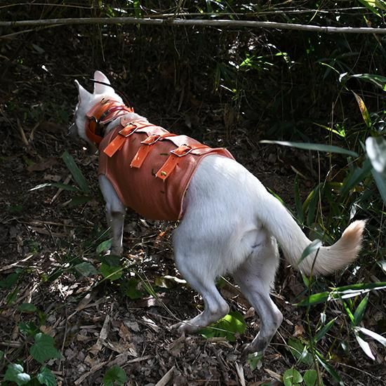 Spectra Vest Hunter Orange 猟犬用耐切創ドッグベスト Spectra Vest Hunter Orange 猟犬用耐切創ドッグベスト