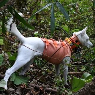 犬用ベスト - 狩猟用品・猟犬・射撃・本格アウトドア/キャンプ 犬用ベスト - 狩猟用品・猟犬・射撃・本格アウトドア/キャンプ