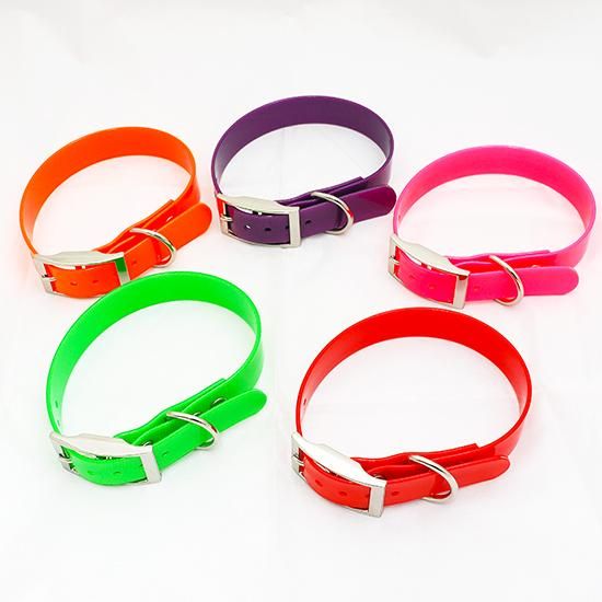 BJTPU WEBBING COLLAR TPUƥ  ʥ 19
