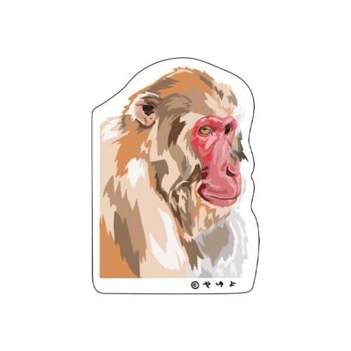 衡ưʪƥå()