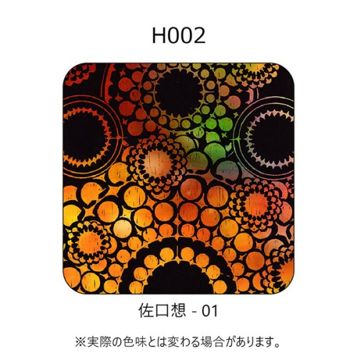 H002-佐口想-01