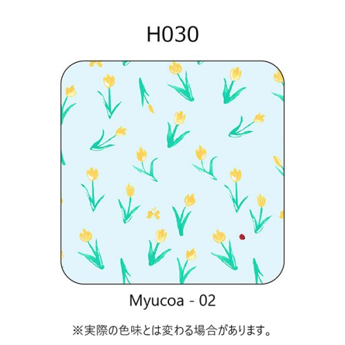 H030-Myucoa-02