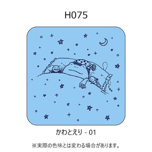 H075-かわとえり-01