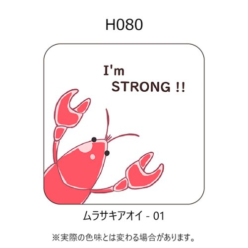 H080-ムラサキアオイ-01