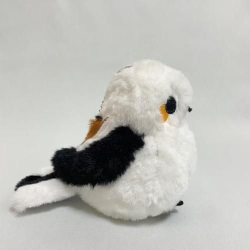 シマエナガのエナガさん