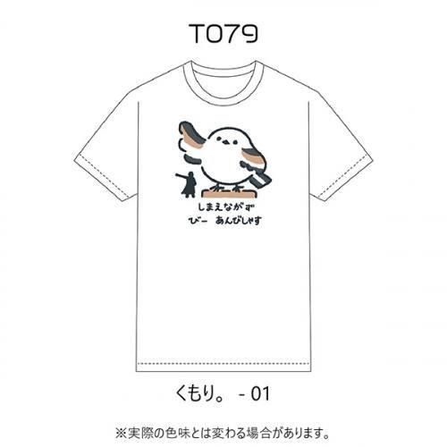 <img class='new_mark_img1' src='https://img.shop-pro.jp/img/new/icons13.gif' style='border:none;display:inline;margin:0px;padding:0px;width:auto;' />T079 ꡣ-01-WH