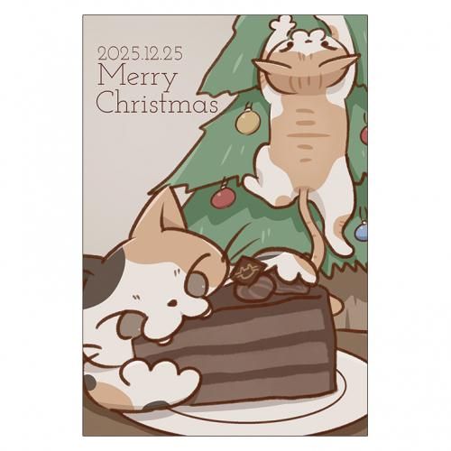 <img class='new_mark_img1' src='https://img.shop-pro.jp/img/new/icons13.gif' style='border:none;display:inline;margin:0px;padding:0px;width:auto;' />ꥹޥɥ쥯P217ߥ饤