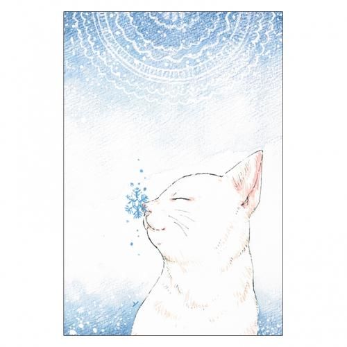 <img class='new_mark_img1' src='https://img.shop-pro.jp/img/new/icons13.gif' style='border:none;display:inline;margin:0px;padding:0px;width:auto;' />ꥹޥɥ쥯P232yuu.ʤ椦