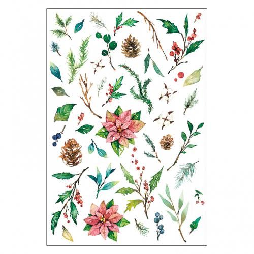 <img class='new_mark_img1' src='https://img.shop-pro.jp/img/new/icons13.gif' style='border:none;display:inline;margin:0px;padding:0px;width:auto;' />ꥹޥɥ쥯P242