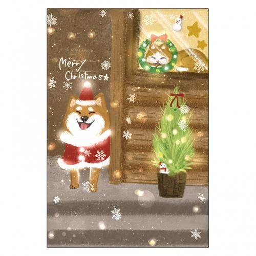 <img class='new_mark_img1' src='https://img.shop-pro.jp/img/new/icons13.gif' style='border:none;display:inline;margin:0px;padding:0px;width:auto;' />ꥹޥɥ쥯P272ä