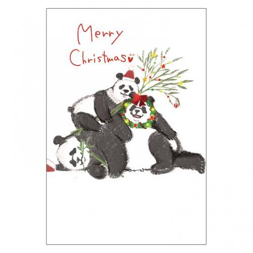 <img class='new_mark_img1' src='https://img.shop-pro.jp/img/new/icons13.gif' style='border:none;display:inline;margin:0px;padding:0px;width:auto;' />ꥹޥɥ쥯P273ä