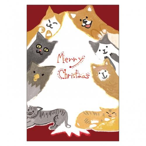 <img class='new_mark_img1' src='https://img.shop-pro.jp/img/new/icons13.gif' style='border:none;display:inline;margin:0px;padding:0px;width:auto;' />ꥹޥɥ쥯P274ä