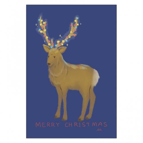 <img class='new_mark_img1' src='https://img.shop-pro.jp/img/new/icons13.gif' style='border:none;display:inline;margin:0px;padding:0px;width:auto;' />ꥹޥɥ쥯P339ʤޤ