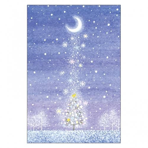 <img class='new_mark_img1' src='https://img.shop-pro.jp/img/new/icons13.gif' style='border:none;display:inline;margin:0px;padding:0px;width:auto;' />ꥹޥɥ쥯P343ꤨ