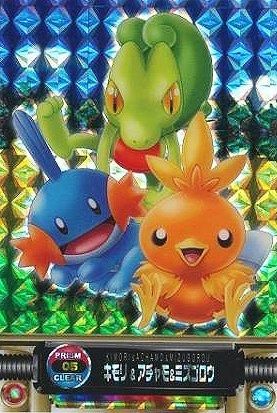 ポケモンずかんカード キモリ&アチャモ&ミズゴロウ プリズム-旧 ポケモンずかんカード キモリ&アチャモ&ミズゴロウ プリズム-旧