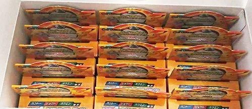 ポケモンずかんカードボックス2005 ぜんこくバージョン 15BOX ポケモンずかんカードボックス2005 ぜんこくバージョン 15BOX