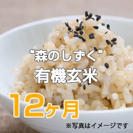 【定期便】佐藤さんの“森のしずく”玄米12ヶ月