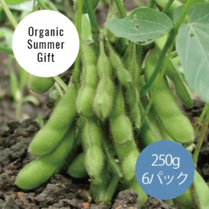 ڼ 8/15ޤǡۡ¢ͭƦ6ѥå98011