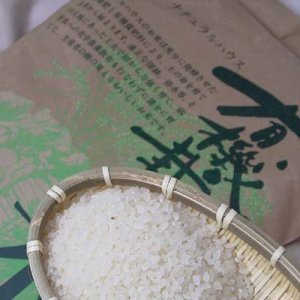 【新米】有機栽培 熊本こしひかり白米2kg
