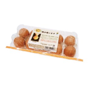 【冷蔵】カンナンファーム丹波奥郷の卵やまぶき10個