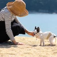 まめ。