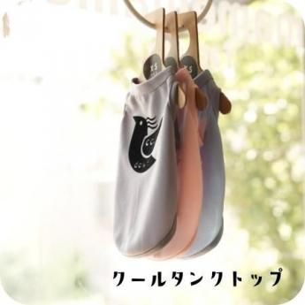 <img class='new_mark_img1' src='https://img.shop-pro.jp/img/new/icons13.gif' style='border:none;display:inline;margin:0px;padding:0px;width:auto;' />륿󥯥ȥå