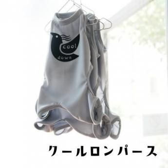 <img class='new_mark_img1' src='https://img.shop-pro.jp/img/new/icons13.gif' style='border:none;display:inline;margin:0px;padding:0px;width:auto;' />ѡ
